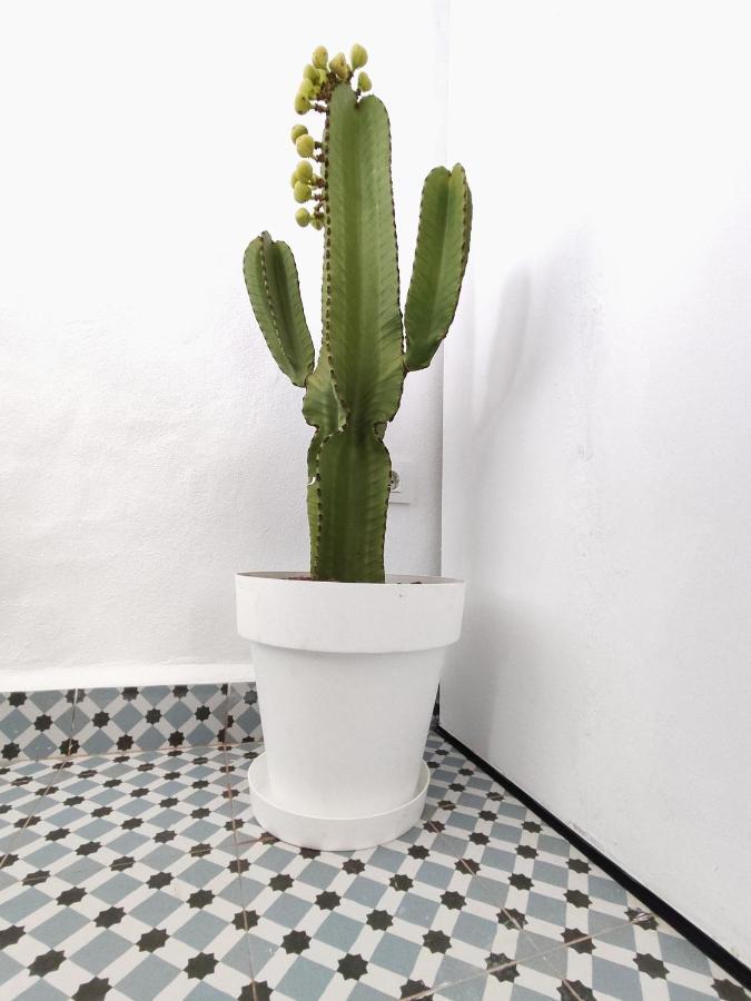 Apartamento Jimaral Vejer de la Frontera Exterior foto